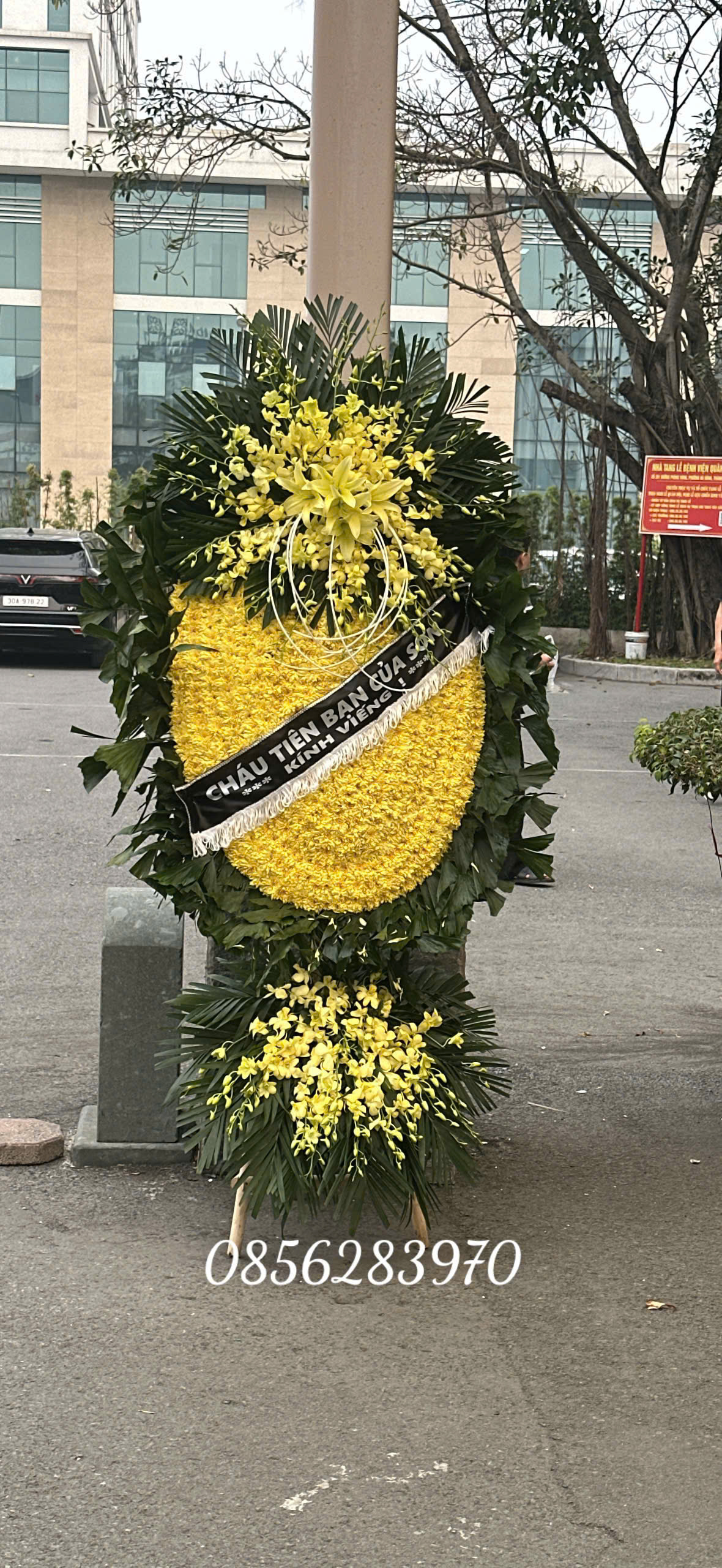 Vòng hoa đầu lan vàng